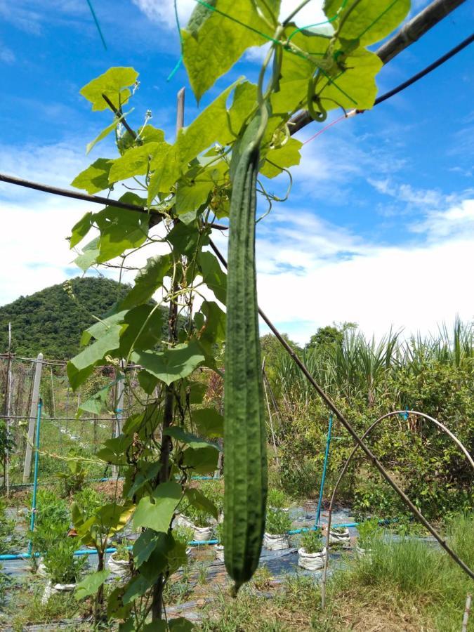 Royal Mountain View Ratchaburi Villa Dış mekan fotoğraf